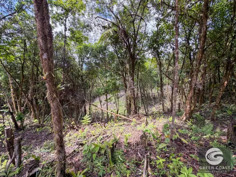 243-Acre Ocean View Eco-Estate in Perez Zeledon | Prime Development & Conservation Land — view 42, Perez Zeledon, Costa Rica