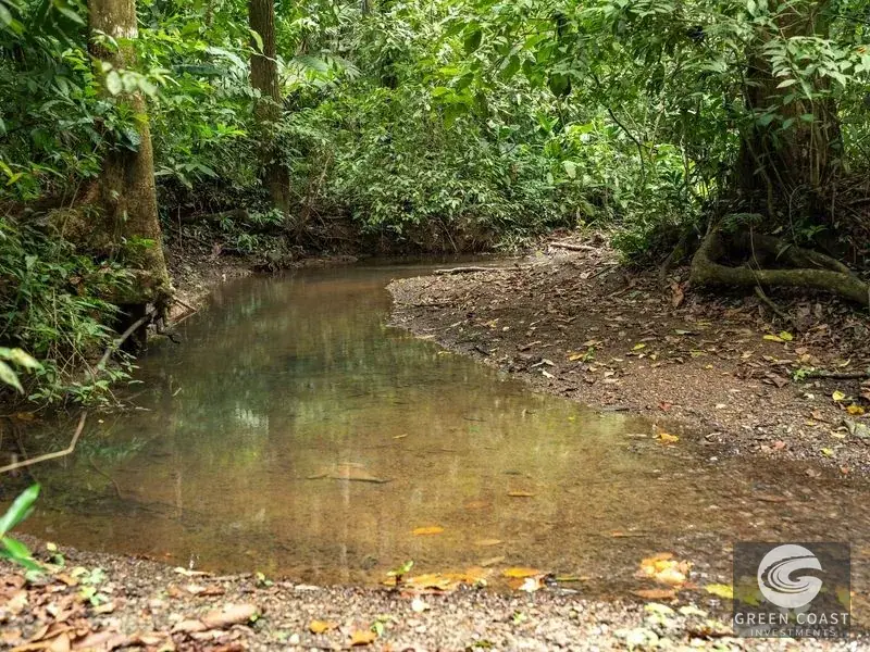 26-Acre Golfo Dulce Development Estate with Two Homes Near Puerto Jimenez — view 3, Puerto Jimenez, Golfito, Costa Rica