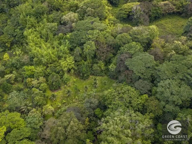 26-Acre Golfo Dulce Development Estate with Two Homes Near Puerto Jimenez — view 6, Puerto Jimenez, Golfito, Costa Rica