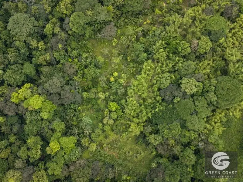 26-Acre Golfo Dulce Development Estate with Two Homes Near Puerto Jimenez — view 9, Puerto Jimenez, Golfito, Costa Rica
