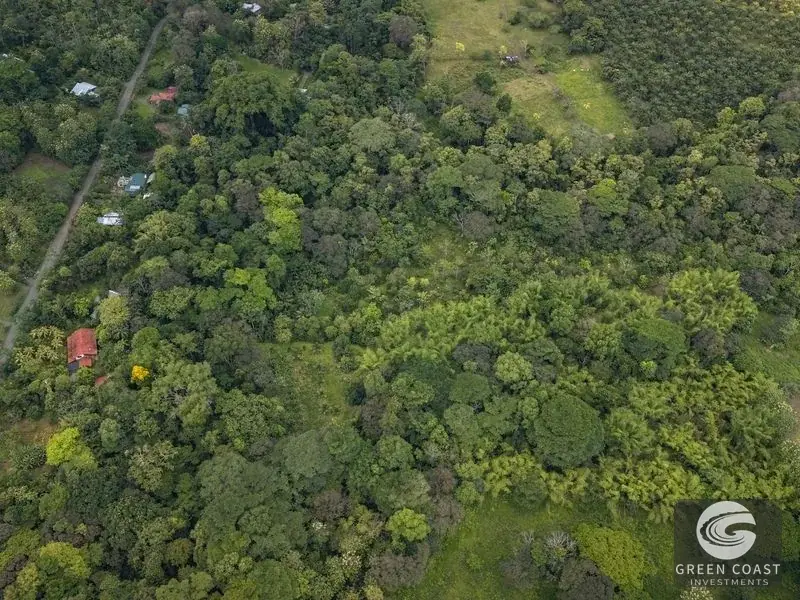 26-Acre Golfo Dulce Development Estate with Two Homes Near Puerto Jimenez — view 10, Puerto Jimenez, Golfito, Costa Rica