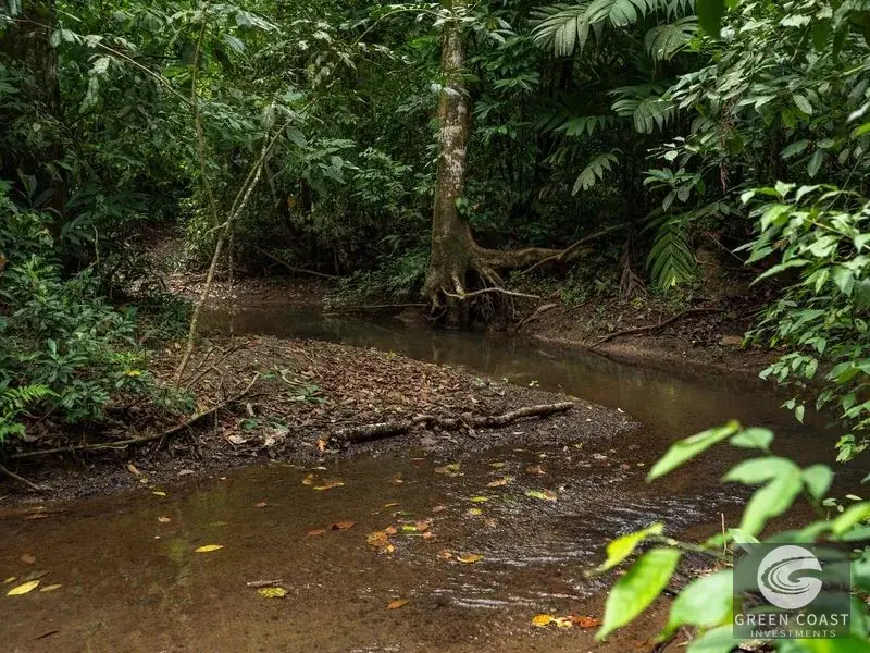 26-Acre Golfo Dulce Development Estate with Two Homes Near Puerto Jimenez — view 15, Puerto Jimenez, Golfito, Costa Rica