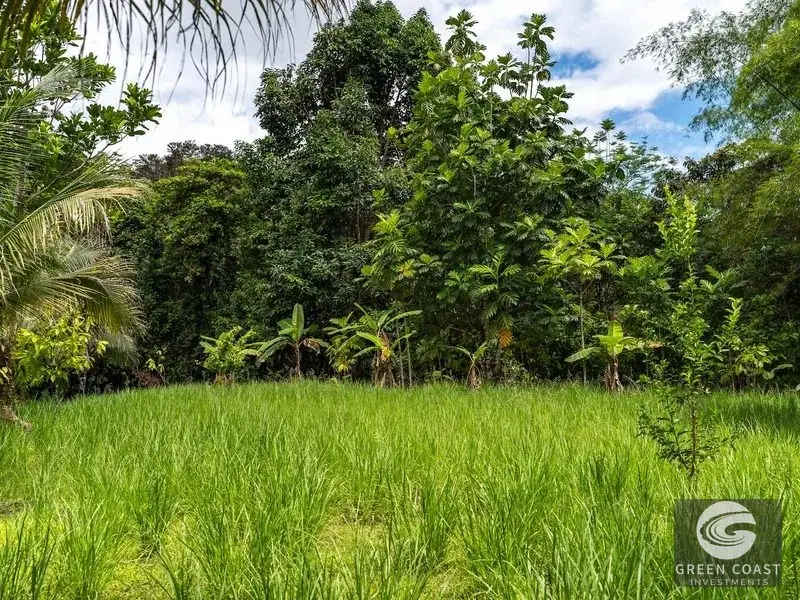 26-Acre Golfo Dulce Development Estate with Two Homes Near Puerto Jimenez — view 16, Puerto Jimenez, Golfito, Costa Rica