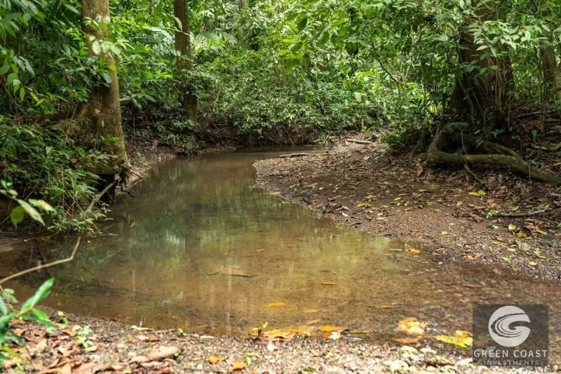 26-Acre Golfo Dulce Development Estate with Two Homes Near Puerto Jimenez — view 23, Puerto Jimenez, Golfito, Costa Rica