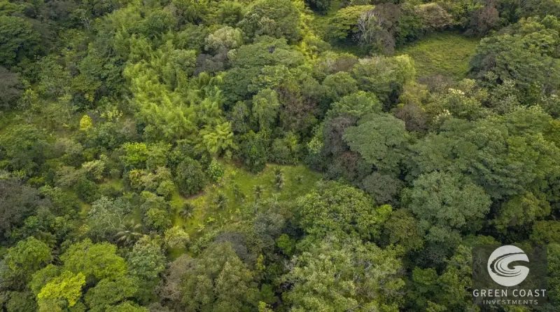 26-Acre Golfo Dulce Development Estate with Two Homes Near Puerto Jimenez — view 26, Puerto Jimenez, Golfito, Costa Rica