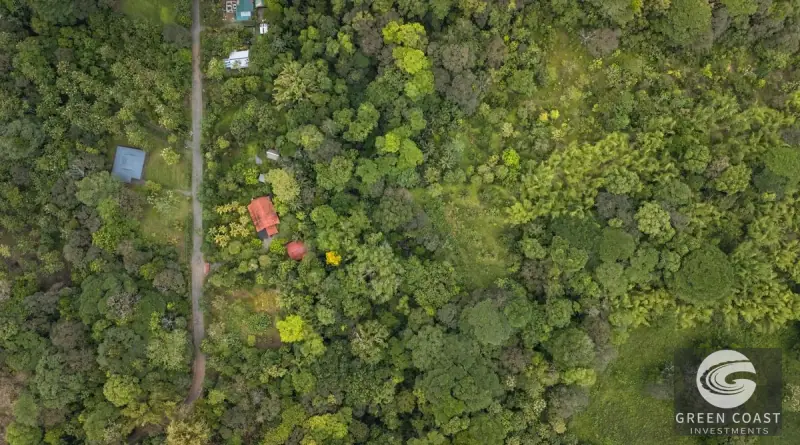 26-Acre Golfo Dulce Development Estate with Two Homes Near Puerto Jimenez — view 28, Puerto Jimenez, Golfito, Costa Rica