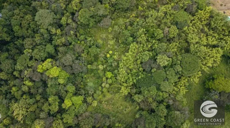 26-Acre Golfo Dulce Development Estate with Two Homes Near Puerto Jimenez — view 29, Puerto Jimenez, Golfito, Costa Rica