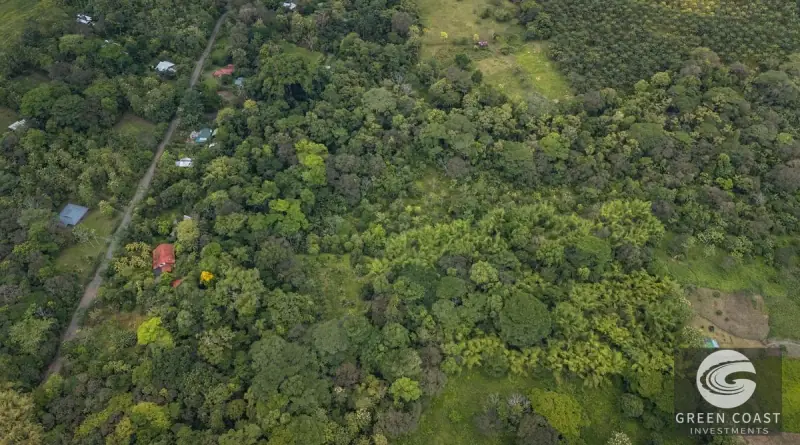 26-Acre Golfo Dulce Development Estate with Two Homes Near Puerto Jimenez — view 30, Puerto Jimenez, Golfito, Costa Rica