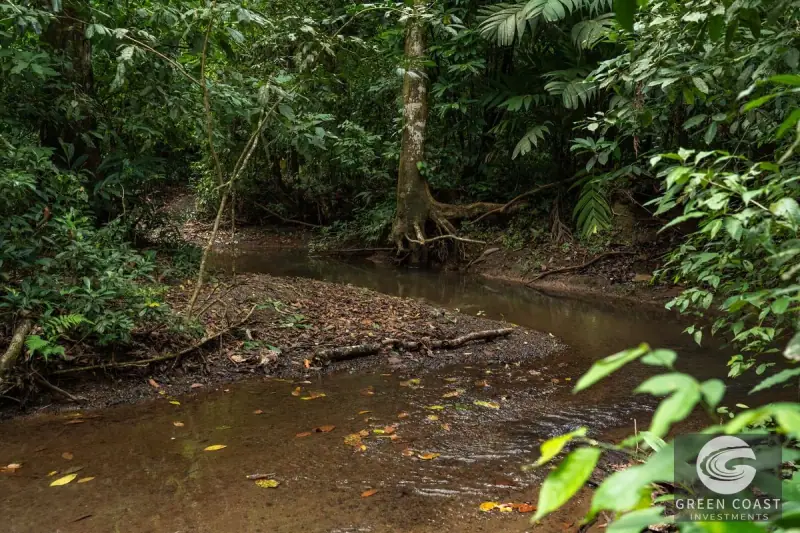 26-Acre Golfo Dulce Development Estate with Two Homes Near Puerto Jimenez — view 35, Puerto Jimenez, Golfito, Costa Rica