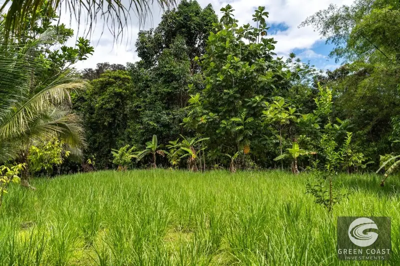 26-Acre Golfo Dulce Development Estate with Two Homes Near Puerto Jimenez — view 36, Puerto Jimenez, Golfito, Costa Rica