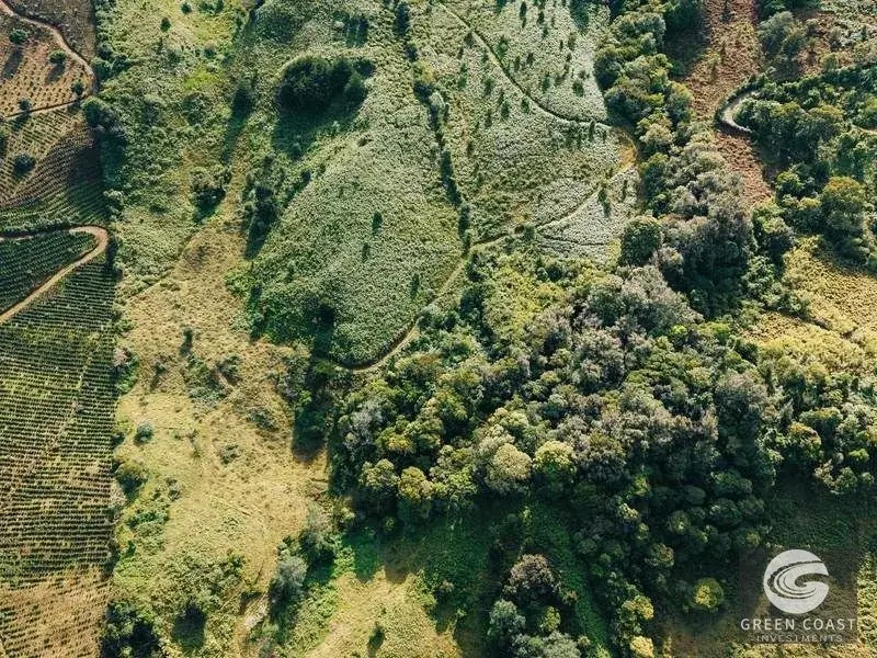 30-Hectare Mountain Forest Reserve & Eco-Retreat in Scenic Dota — view 1, Dota, Costa Rica