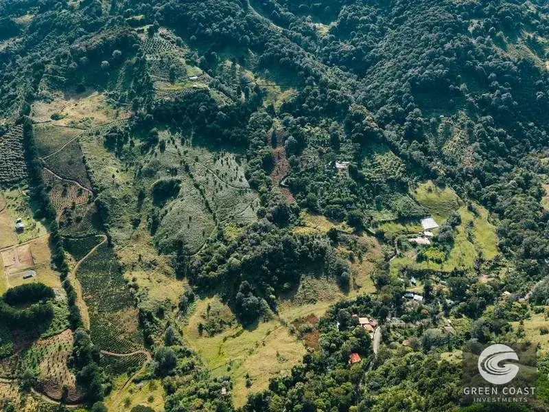 30-Hectare Mountain Forest Reserve & Eco-Retreat in Scenic Dota — view 2, Dota, Costa Rica