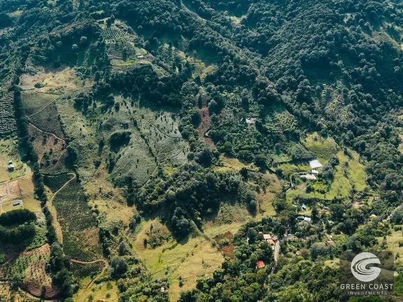 30-Hectare Mountain Forest Reserve & Eco-Retreat in Scenic Dota — view 3, Dota, Costa Rica