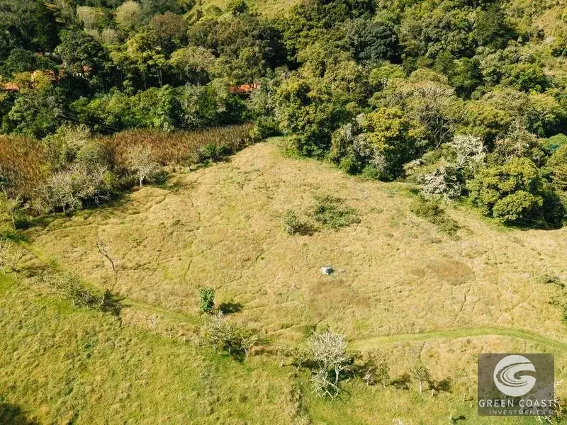 30-Hectare Mountain Forest Reserve & Eco-Retreat in Scenic Dota — view 5, Dota, Costa Rica