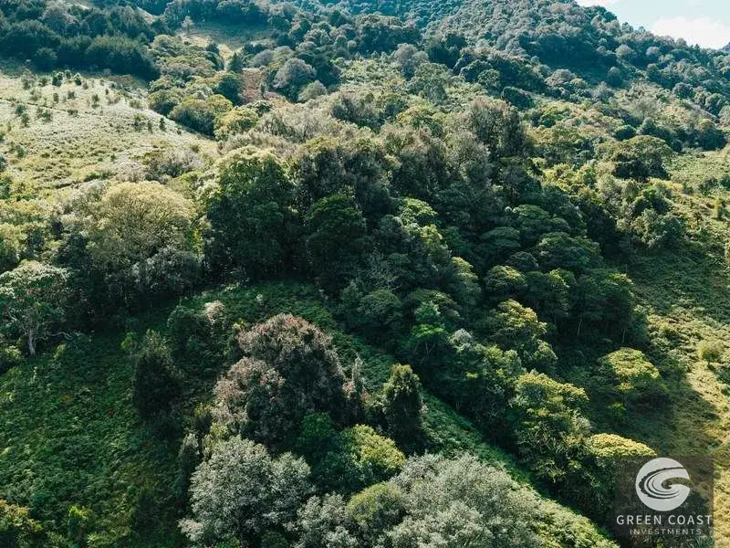 30-Hectare Mountain Forest Reserve & Eco-Retreat in Scenic Dota — view 6, Dota, Costa Rica