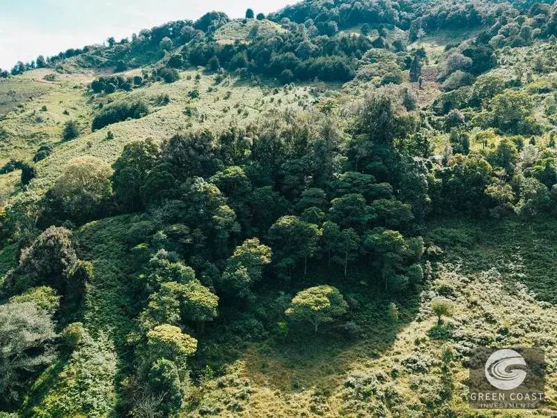 30-Hectare Mountain Forest Reserve & Eco-Retreat in Scenic Dota — view 7, Dota, Costa Rica