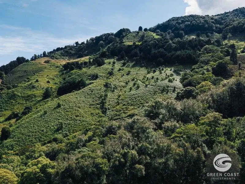 30-Hectare Mountain Forest Reserve & Eco-Retreat in Scenic Dota — view 8, Dota, Costa Rica
