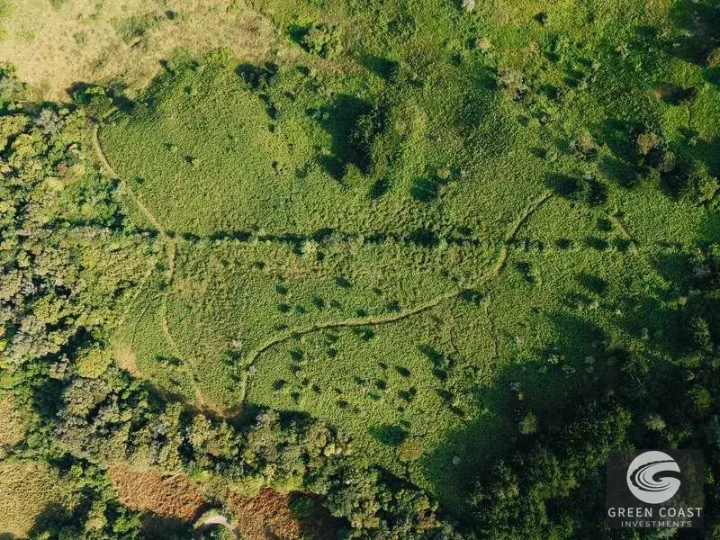 30-Hectare Mountain Forest Reserve & Eco-Retreat in Scenic Dota — view 9, Dota, Costa Rica