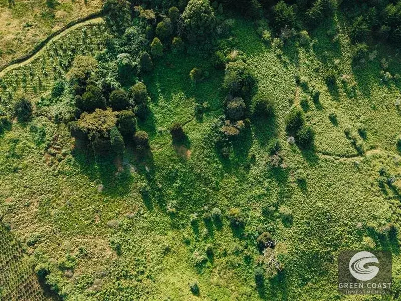 30-Hectare Mountain Forest Reserve & Eco-Retreat in Scenic Dota — view 10, Dota, Costa Rica