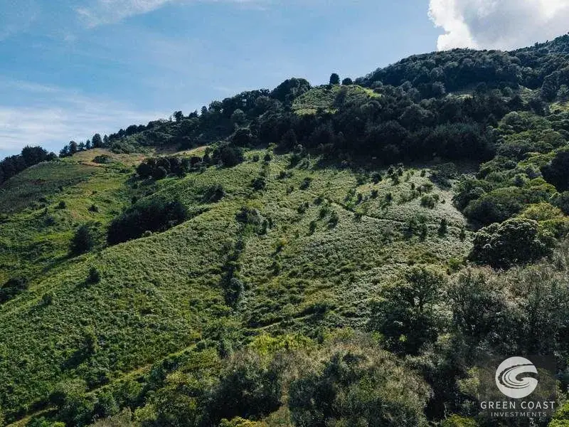 30-Hectare Mountain Forest Reserve & Eco-Retreat in Scenic Dota — view 11, Dota, Costa Rica