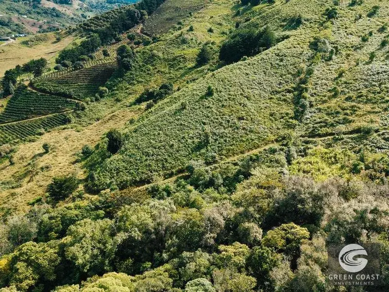 30-Hectare Mountain Forest Reserve & Eco-Retreat in Scenic Dota — view 12, Dota, Costa Rica