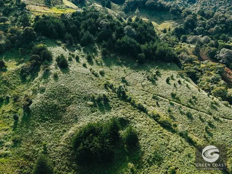 30-Hectare Mountain Forest Reserve & Eco-Retreat in Scenic Dota — view 13, Dota, Costa Rica