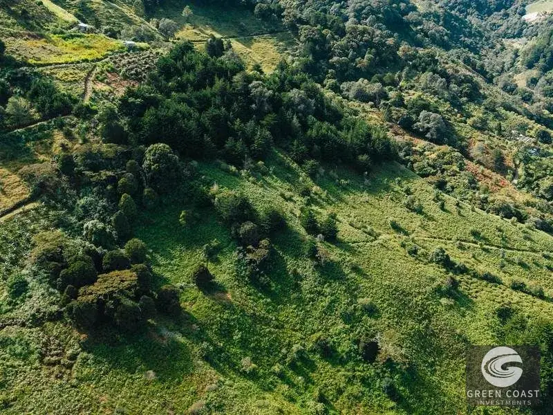 30-Hectare Mountain Forest Reserve & Eco-Retreat in Scenic Dota — view 14, Dota, Costa Rica