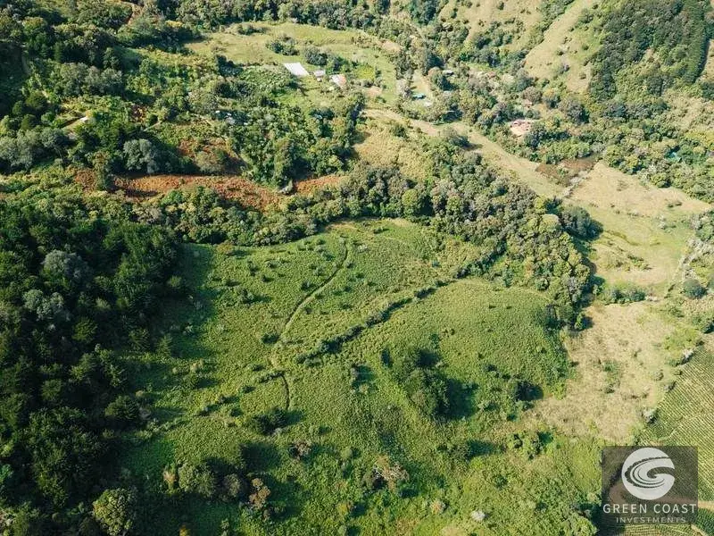 30-Hectare Mountain Forest Reserve & Eco-Retreat in Scenic Dota — view 15, Dota, Costa Rica