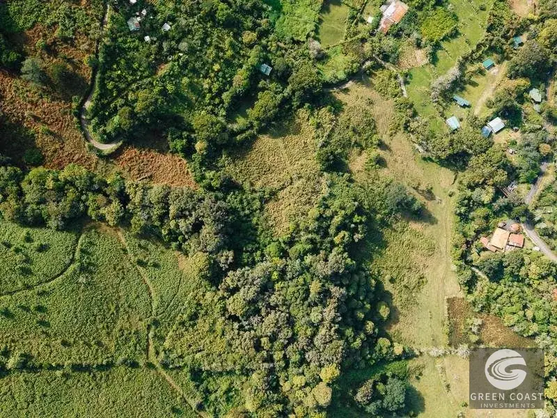 30-Hectare Mountain Forest Reserve & Eco-Retreat in Scenic Dota — view 18, Dota, Costa Rica