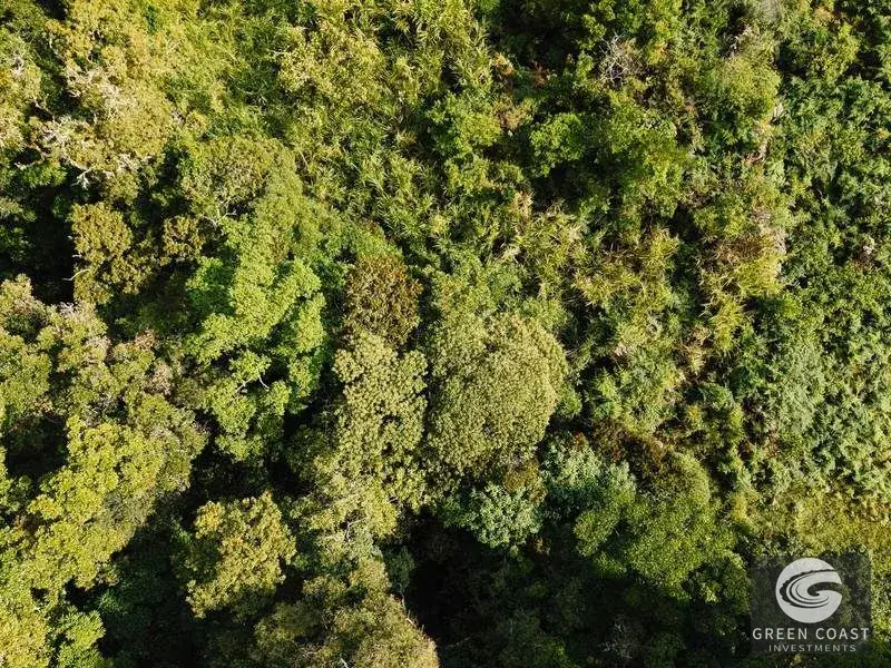 30-Hectare Mountain Forest Reserve & Eco-Retreat in Scenic Dota — view 20, Dota, Costa Rica