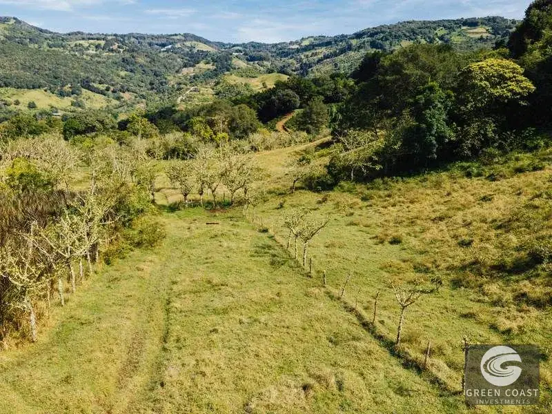30-Hectare Mountain Forest Reserve & Eco-Retreat in Scenic Dota — view 22, Dota, Costa Rica