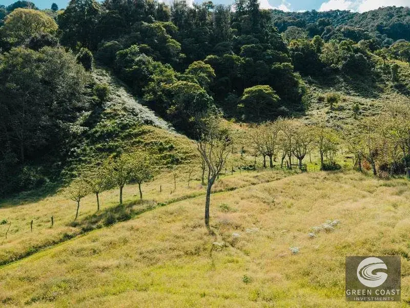 30-Hectare Mountain Forest Reserve & Eco-Retreat in Scenic Dota — view 23, Dota, Costa Rica