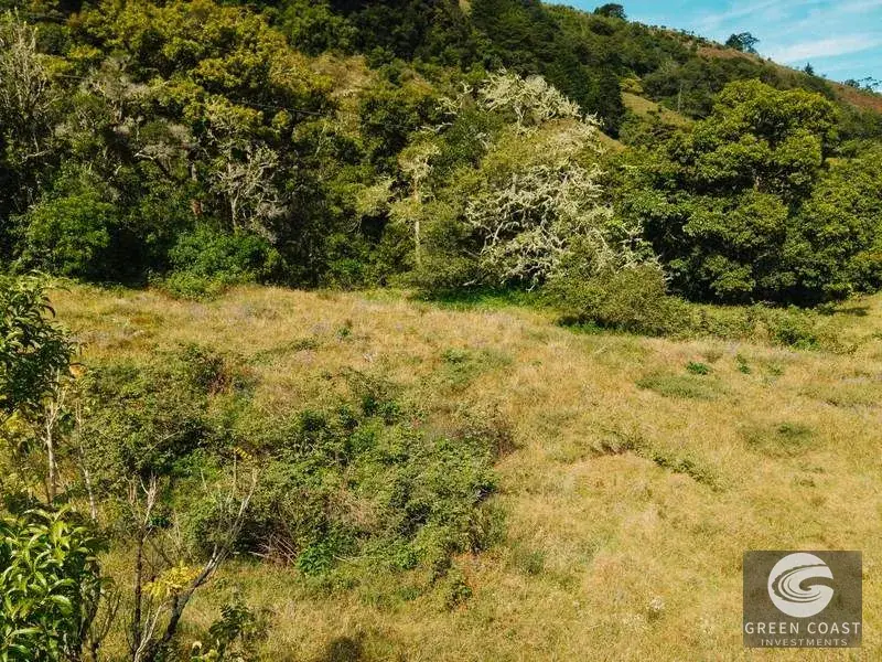 30-Hectare Mountain Forest Reserve & Eco-Retreat in Scenic Dota — view 25, Dota, Costa Rica