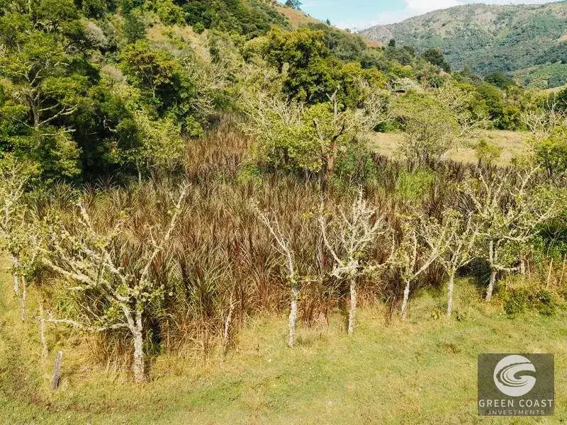 30-Hectare Mountain Forest Reserve & Eco-Retreat in Scenic Dota — view 26, Dota, Costa Rica