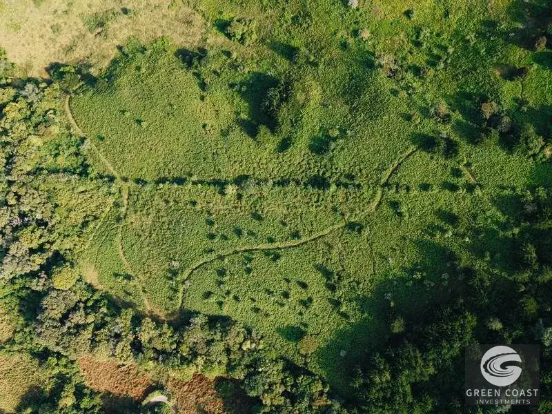 30-Hectare Mountain Forest Reserve & Eco-Retreat in Scenic Dota — view 27, Dota, Costa Rica