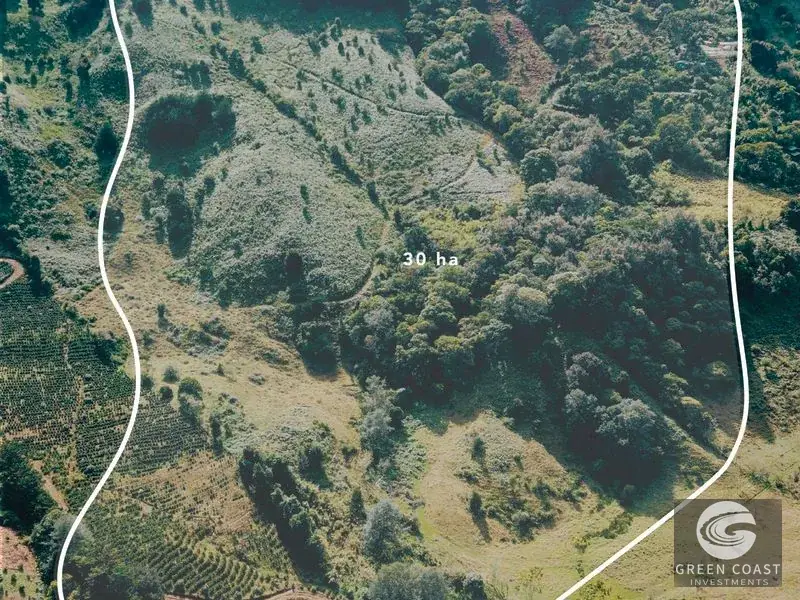 30-Hectare Mountain Forest Reserve & Eco-Retreat in Scenic Dota — view 28, Dota, Costa Rica