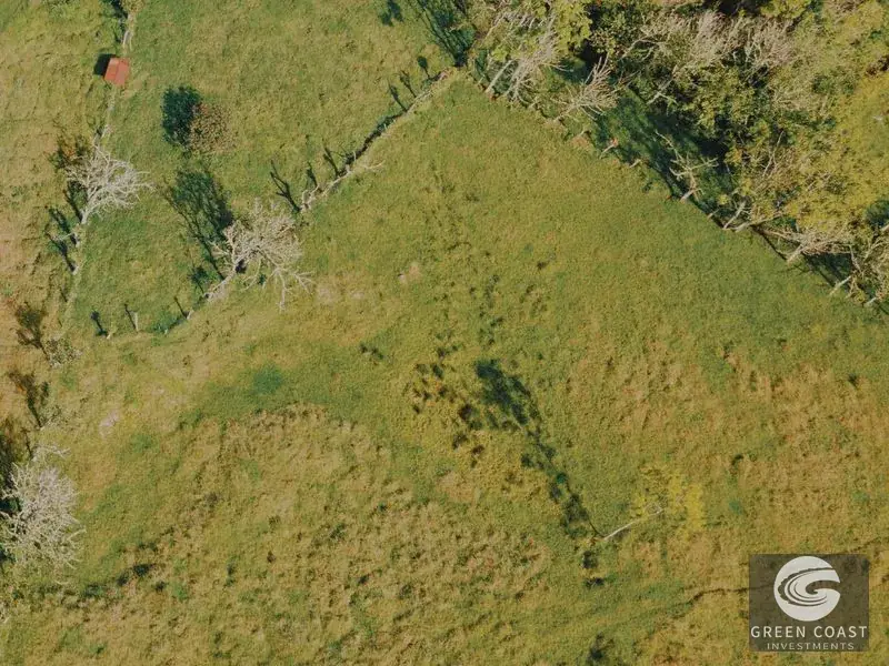 30-Hectare Mountain Forest Reserve & Eco-Retreat in Scenic Dota — view 30, Dota, Costa Rica