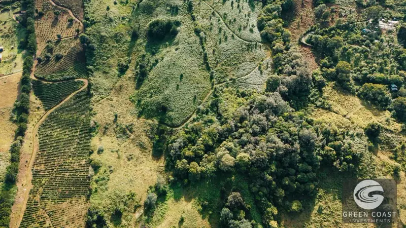 30-Hectare Mountain Forest Reserve & Eco-Retreat in Scenic Dota — view 35, Dota, Costa Rica