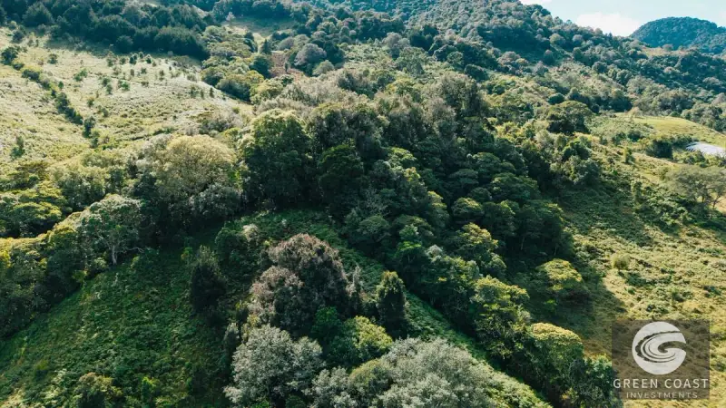 30-Hectare Mountain Forest Reserve & Eco-Retreat in Scenic Dota — view 40, Dota, Costa Rica