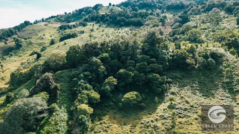 30-Hectare Mountain Forest Reserve & Eco-Retreat in Scenic Dota — view 41, Dota, Costa Rica