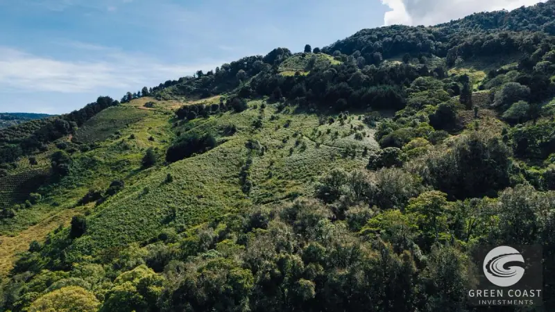 30-Hectare Mountain Forest Reserve & Eco-Retreat in Scenic Dota — view 42, Dota, Costa Rica
