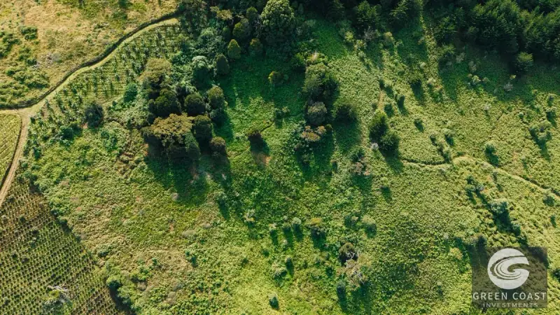 30-Hectare Mountain Forest Reserve & Eco-Retreat in Scenic Dota — view 44, Dota, Costa Rica