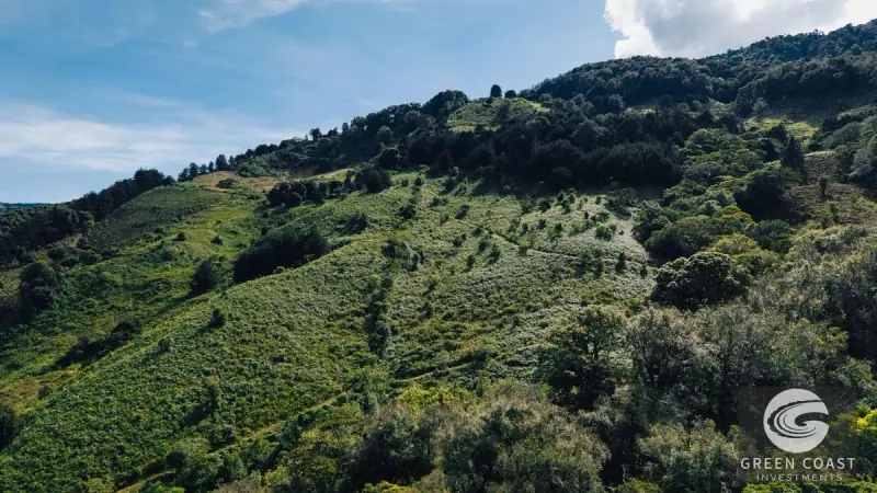 30-Hectare Mountain Forest Reserve & Eco-Retreat in Scenic Dota — view 45, Dota, Costa Rica