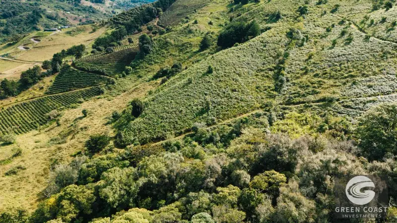 30-Hectare Mountain Forest Reserve & Eco-Retreat in Scenic Dota — view 46, Dota, Costa Rica