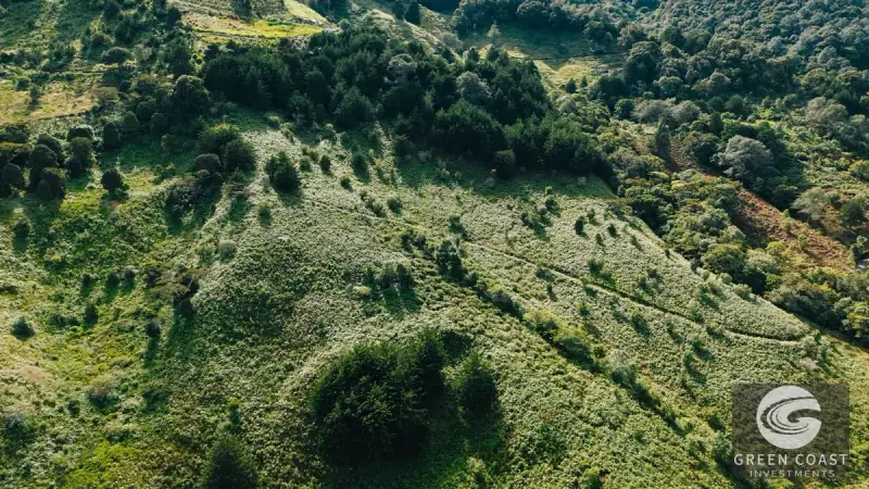 30-Hectare Mountain Forest Reserve & Eco-Retreat in Scenic Dota — view 47, Dota, Costa Rica