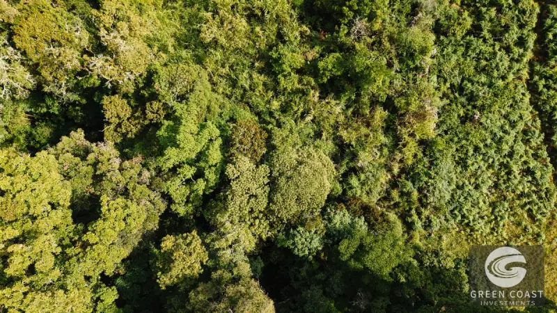 30-Hectare Mountain Forest Reserve & Eco-Retreat in Scenic Dota — view 54, Dota, Costa Rica