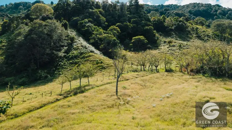 30-Hectare Mountain Forest Reserve & Eco-Retreat in Scenic Dota — view 57, Dota, Costa Rica