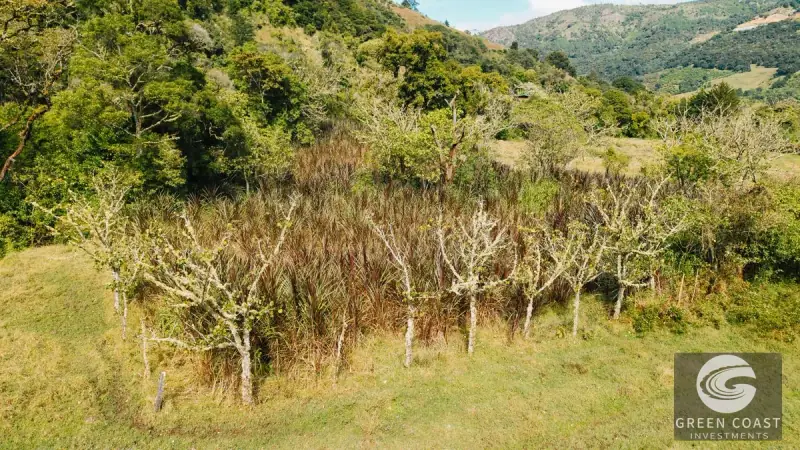 30-Hectare Mountain Forest Reserve & Eco-Retreat in Scenic Dota — view 60, Dota, Costa Rica