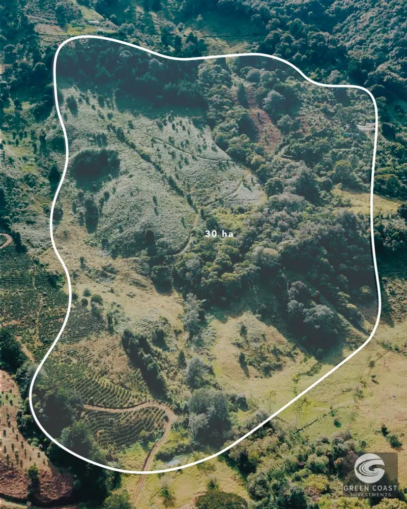 30-Hectare Mountain Forest Reserve & Eco-Retreat in Scenic Dota — view 62, Dota, Costa Rica