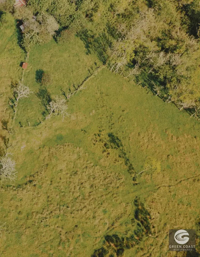 30-Hectare Mountain Forest Reserve & Eco-Retreat in Scenic Dota — view 64, Dota, Costa Rica